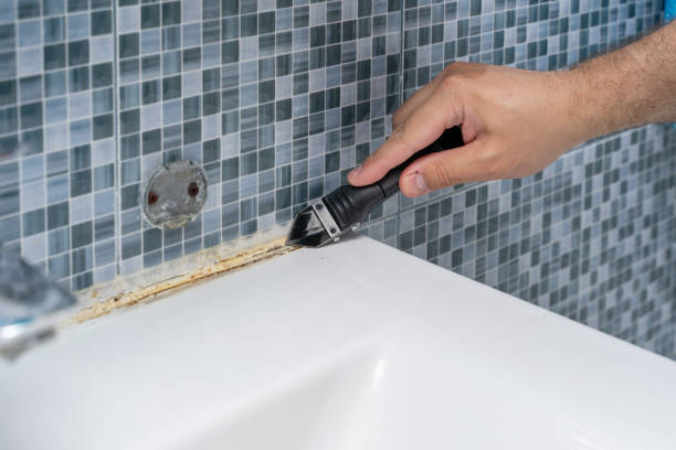 Best Black Mold Remediation in Conway Springs, KS